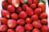 了解草莓的英文名称以及其营养价值