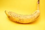 了解香蕉产地，这是什么影响着香蕉的味道与形状？